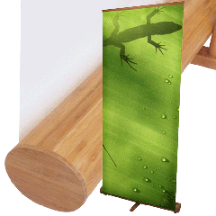 Bamboo