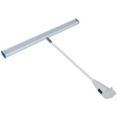 White LED Light